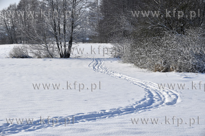 Zima we wsi Sulmin na Kaszubach.  Łaka pod śniegiem...